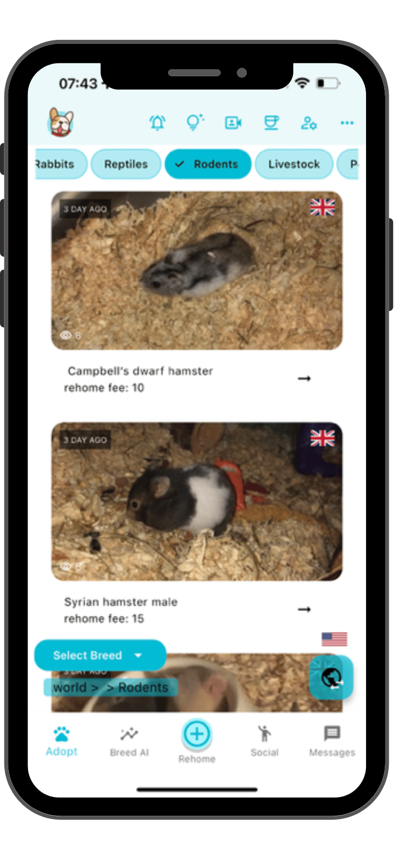 Hamsters and rodents marketplace screenshot